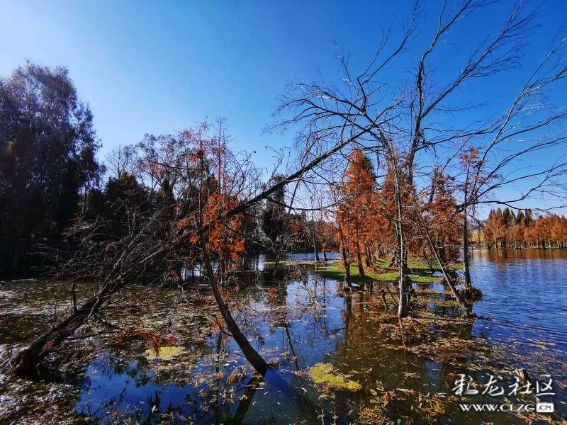 一图速览2023四川经济成绩单:GDP首破6万亿元 生猪出栏量全国第一