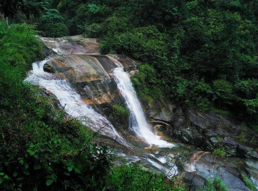 推动AI赋能更多生活场景